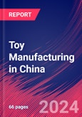 Toy Manufacturing in China - Industry Market Research Report- Product Image