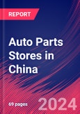 Auto Parts Stores in China - Industry Market Research Report- Product Image