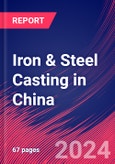 Iron & Steel Casting in China - Industry Market Research Report- Product Image