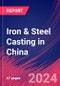 Iron & Steel Casting in China - Industry Market Research Report - Product Thumbnail Image