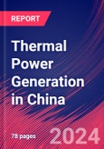 Thermal Power Generation in China - Industry Market Research Report- Product Image