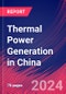 Thermal Power Generation in China - Industry Market Research Report - Product Thumbnail Image