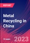 Metal Recycling in China - Industry Market Research Report - Product Image