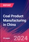 Coal Product Manufacturing in China - Industry Market Research Report - Product Thumbnail Image