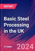 Basic Steel Processing in the UK - Industry Market Research Report- Product Image