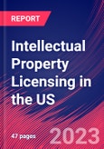 Intellectual Property Licensing in the US - Industry Market Research Report- Product Image