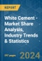 White Cement - Market Share Analysis, Industry Trends & Statistics, Growth Forecasts (2024 - 2030) - Product Image