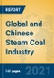 Global and Chinese Steam Coal Industry, 2021 Market Research Report - Product Thumbnail Image