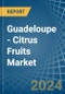 Guadeloupe - Citrus Fruits - Market Analysis, Forecast, Size, Trends and Insights - Product Thumbnail Image