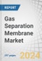 Gas Separation Membrane Market by Module, Material Type, Application (Nitrogen Generation & Oxygen Enrichment, Hydrogen Recovery, CDR, Vapor/Gas Separation, Vapor/Vapor Separation, Air Dehydration, H2S Removal), and Region - Forecast to 2030 - Product Image