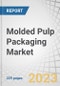 Molded Pulp Packaging Market by Molded Type (Thickwall, Transfer Molded, Thermoformed Fiber and Processed Pulp), Product Type (Trays, Clamshells, Cups, Plates, Bowls), End-Use, Source (Wood Pulp and Non Wood Pulp), and Region - Forecast to 2027 - Product Thumbnail Image