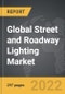 Street and Roadway Lighting - Global Strategic Business Report - Product Thumbnail Image
