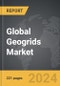 Geogrids - Global Strategic Business Report - Product Thumbnail Image