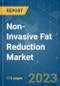 Non-Invasive Fat Reduction Market - Growth, Trends, COVID-19 Impact, and Forecasts (2023-2028) - Product Thumbnail Image