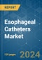 Esophageal Catheters - Market Share Analysis, Industry Trends & Statistics, Growth Forecasts 2019 - 2029 - Product Thumbnail Image