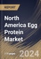 North America Egg Protein Market Size, Share & Trends Analysis Report By Form (Powder, and Liquid), By Type (Egg White Protein, Whole Egg Protein, and Egg Yolk Protein), By Application, By Country and Growth Forecast, 2024 - 2031 - Product Image