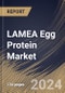 LAMEA Egg Protein Market Size, Share & Trends Analysis Report By Form (Powder, and Liquid), By Type (Egg White Protein, Whole Egg Protein, and Egg Yolk Protein), By Application, By Country and Growth Forecast, 2024 - 2031 - Product Thumbnail Image