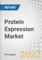 Protein Expression Market by Type (E.Coli, Mammalian, CHO, HEK 293, Insect, Pichia, Cell-free), Products (Reagents, Vectors, Competent Cells, Instruments, Service), Application (Therapeutic, Industrial), End User, and Region - Forecast to 2027 - Product Thumbnail Image