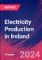 Electricity Production in Ireland - Market Research Report (2014-2029) - Product Image