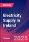 Electricity Supply in Ireland - Industry Market Research Report - Product Image