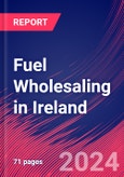 Fuel Wholesaling in Ireland - Market Size, Industry Analysis, Trends and Forecasts (2024-2029)- Product Image