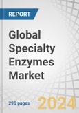 Global Specialty Enzymes Market by Source (Microorganism, Plant, Animal), Type (Carbohydrases, Proteases, Lipases, Polymerases & Nucleases), Application (Pharmaceuticals, Diagnostics, Research & Biotechnology), Form & Region - Forecast to 2029- Product Image