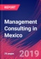 Management Consulting in Mexico - Industry Market Research Report - Product Thumbnail Image