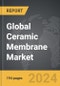Ceramic Membrane - Global Strategic Business Report - Product Thumbnail Image