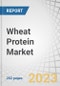 Wheat Protein Market by Product (Gluten, Protein Isolate, Textured Protein, Hydrolyzed Protein), Form, Concentration, Application (Bakery & Snacks, Pet Food, Nutritional Bars & Drinks, Processed Meat, Meat Analogs) & Region - Forecast to 2028 - Product Thumbnail Image