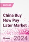 China Buy Now Pay Later Business and Investment Opportunities Databook - 75+ KPIs on BNPL Market Size, End-Use Sectors, Market Share, Product Analysis, Business Model, Demographics - Q1 2024 Update - Product Thumbnail Image