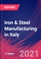 Iron & Steel Manufacturing in Italy - Industry Market Research Report - Product Thumbnail Image