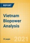 Vietnam Biopower Analysis - Market Outlook to 2030, Update 2021 - Product Thumbnail Image