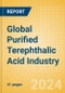 Global Purified Terephthalic Acid (PTA) Industry Outlook to 2028-Capacity and Capital Expenditure Forecasts with Details of All Active and Planned Plants - Product Thumbnail Image