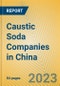 Caustic Soda Companies in China - Product Thumbnail Image