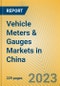 Vehicle Meters & Gauges Markets in China - Product Thumbnail Image