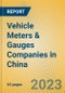 Vehicle Meters & Gauges Companies in China - Product Thumbnail Image
