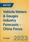 Vehicle Meters & Gauges Industry Forecasts - China Focus - Product Image