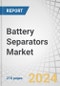 Battery Separators Market by Battery Type (Lead Acid and Li-ion), Material (Polyethylene and Polypropylene), Technology (Dry and Wet), End-Use (Automotive, Consumer Electronics, Industrial), and Region - Forecast to 2028 - Product Thumbnail Image