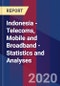 Indonesia - Telecoms, Mobile and Broadband - Statistics and Analyses - Product Thumbnail Image