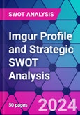 Imgur Profile and Strategic SWOT Analysis- Product Image