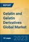 Gelatin and Gelatin Derivatives Global Market Insights 2023, Analysis and Forecast to 2028, by Manufacturers, Regions, Technology, Application, Product Type - Product Thumbnail Image