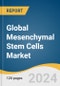 Global Mesenchymal Stem Cells Market Size, Share & Trends Analysis Report by Product & Services, Workflow Type, Type, Source Of Isolation, Indication, Application, Region, and Segment Forecasts, 2024-2030 - Product Thumbnail Image