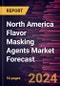 North America Flavor Masking Agents Market Forecast to 2030 - Regional Analysis - by Type and Application - Product Image