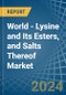World - Lysine and Its Esters, and Salts Thereof - Market Analysis, Forecast, Size, Trends and Insights - Product Image