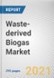 Waste-derived Biogas Market by Source and Application: Global Opportunity Analysis and Industry Forecast, 2021-2030 - Product Thumbnail Image