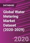 Global Water Metering Market Dataset (2020-2029) - Product Thumbnail Image
