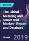 The Global Metering and Smart Grid Market - Report and Database - Product Thumbnail Image