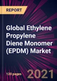 Global Ethylene Propylene Diene Monomer (EPDM) Market 2021-2025- Product Image
