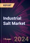 Industrial Salt Market 2024-2028 - Product Thumbnail Image