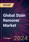 Global Stain Remover Market 2024-2028 - Product Thumbnail Image